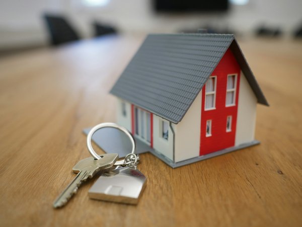 What steps should you take to ensure a property in London is lead-free before purchasing?